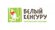 Кенгуру Интернет Магазин Ковров